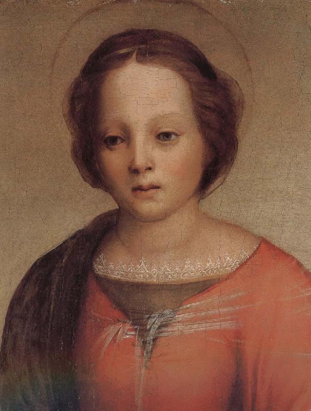Andrea del Sarto Mary in detail oil painting picture
